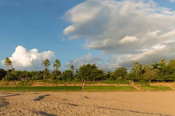 ລ່ອງເຮືອວັດພູ 3 ມື້ 2 ຄືນ – ລ່ອງເຮືອຂາລົງ (ລ່ອງລົງ)