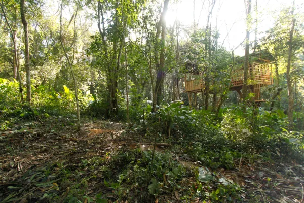 เดินป่า ชมน้ำตกและค้างคืนกระเช้าต้นไม้ 3 วัน 2 คืน