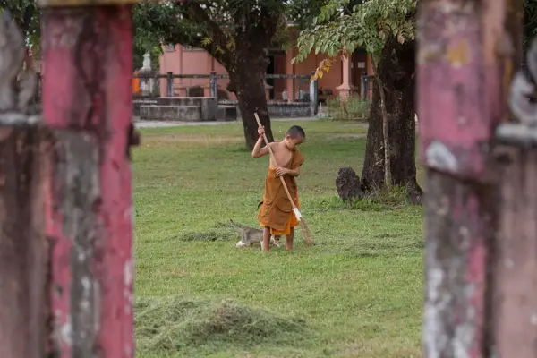 ລ່ອງເຮືອວັດພູ 3 ມື້ 2 ຄືນ – ລ່ອງເຮືອຂາລົງ (ລ່ອງລົງ)