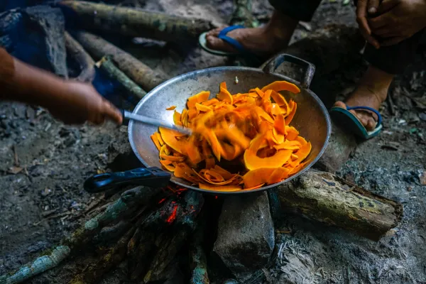 เดินป่า ชมน้ำตกและค้างคืนกระเช้าต้นไม้ 3 วัน 2 คืน