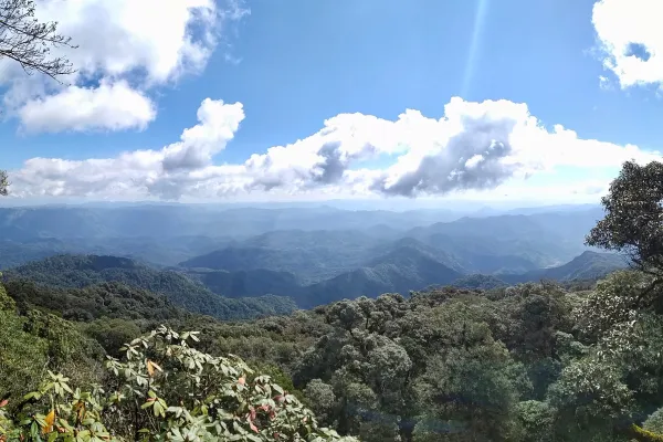 ค้างแรมในป่าสุดท้าทาย 3 วัน 2 คืน