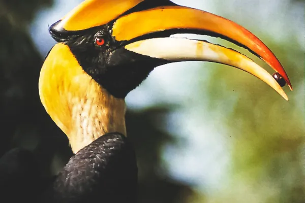 南河徒步沉浸体验}