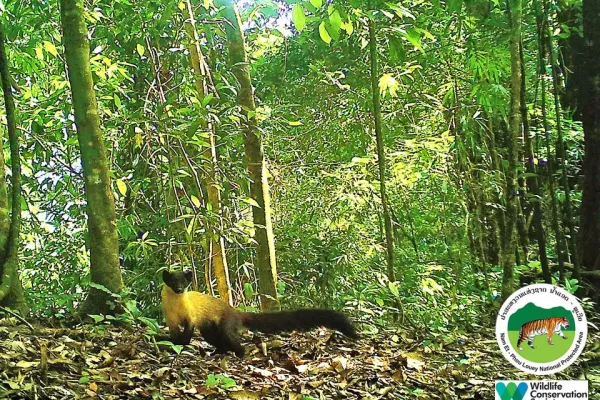 เดินป่า ชมน้ำตกและค้างคืนกระเช้าต้นไม้ 3 วัน 2 คืน