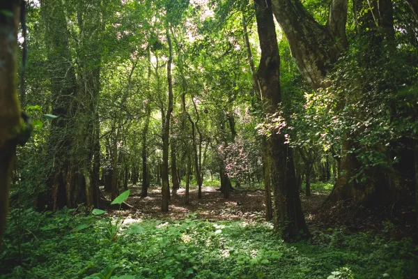 南河徒步沉浸体验