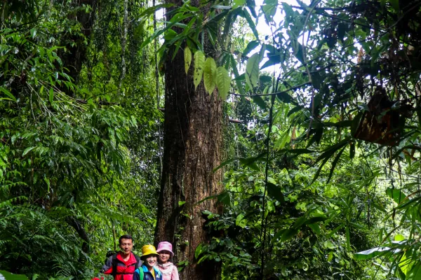 เดินป่า ชมน้ำตกและค้างคืนกระเช้าต้นไม้ 3 วัน 2 คืน