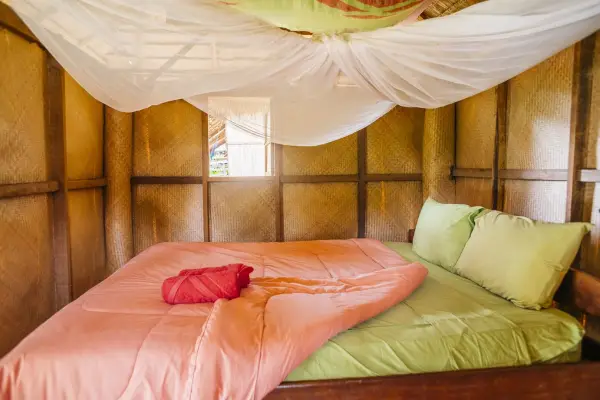 Experience Elephant Conservation Center in Sayabouly: A 2 Days - 1 Night Adventure