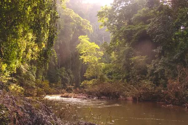Nam Ha Valley Village Trek