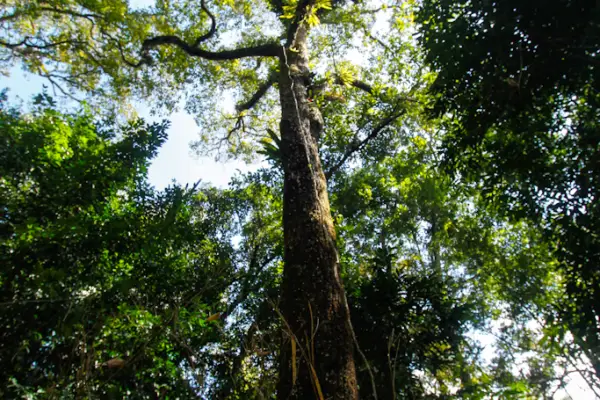 การเดินป่าสุดท้าทาย (แบบไม่มีบ้านพัก) 4 วัน 3 คืน