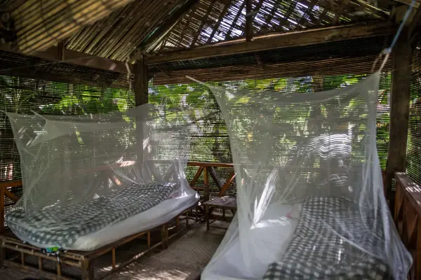 3天2夜 - 南涅恩河野生动物探险}