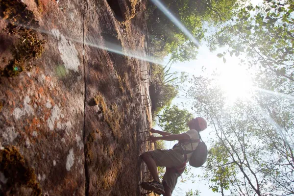 Tree Top Explorer (3 Days/2 Nights)}
