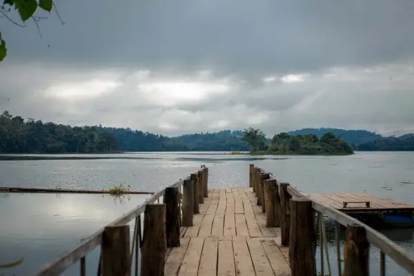 Experience Elephant Conservation Center in Sayabouly: A 2 Days - 1 Night Adventure