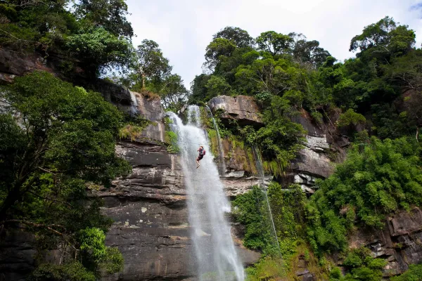 Tree Top Explorer (3 Days/2 Nights)}