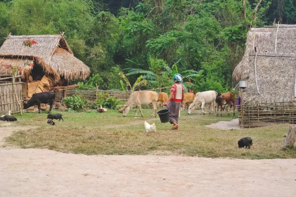 南河徒步沉浸体验