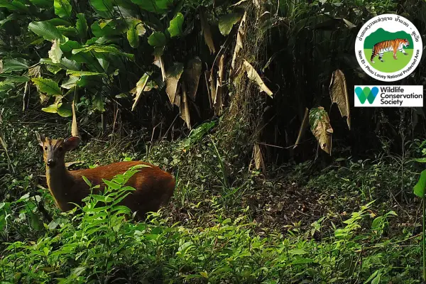 การเดินป่าสุดท้าทาย (แบบไม่มีบ้านพัก) 4 วัน 3 คืน