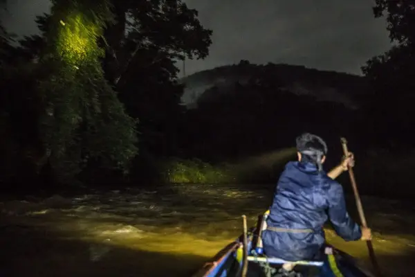3天2夜 - 南涅恩河野生动物探险}