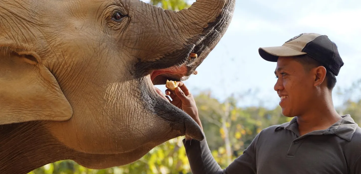 Elephant Sanctuary Tours