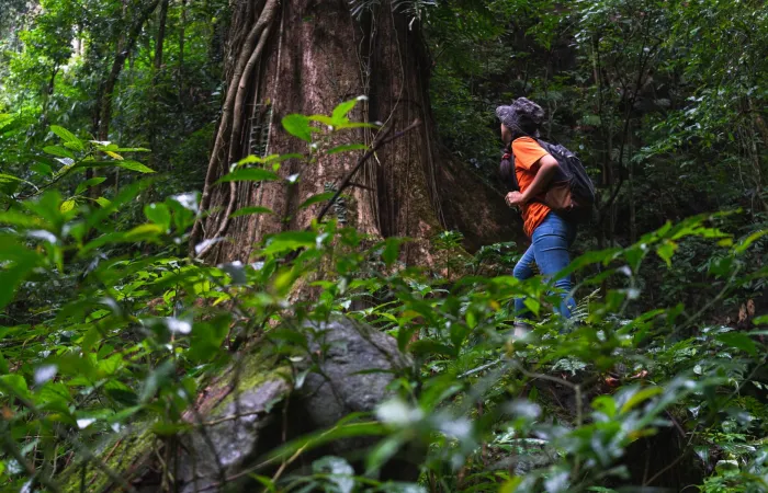 Sustainable Wildlife/Eco-Tourism