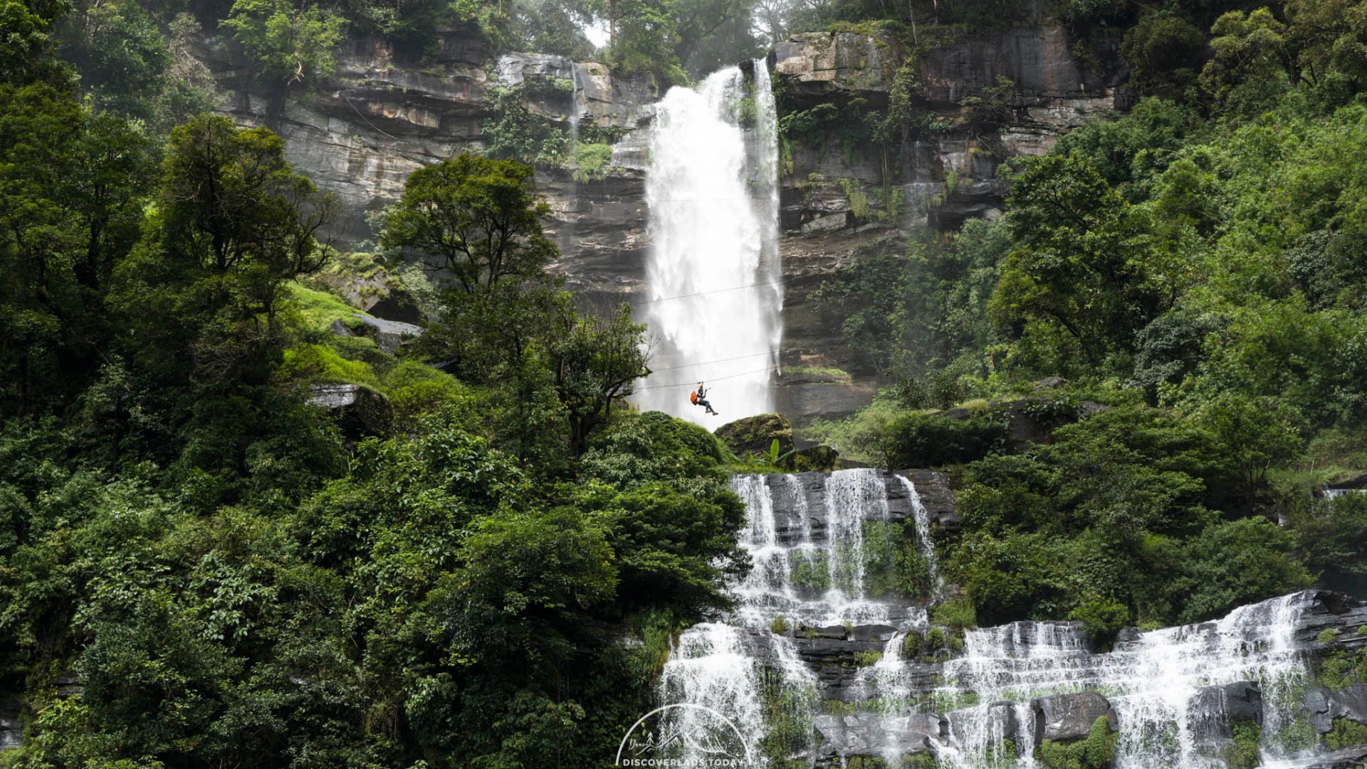 Tree Top Explorer