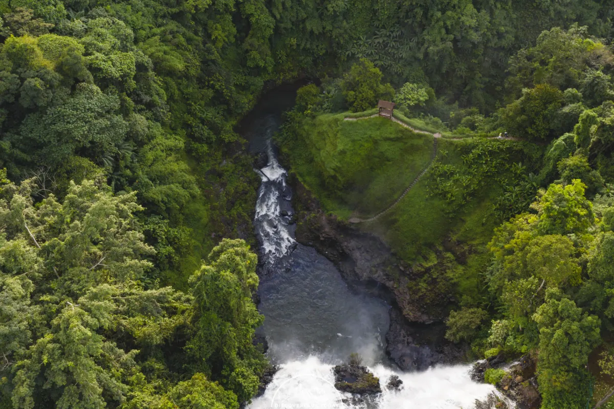 Thing To Do: Tad Yuang ( Nguang Waterfall)