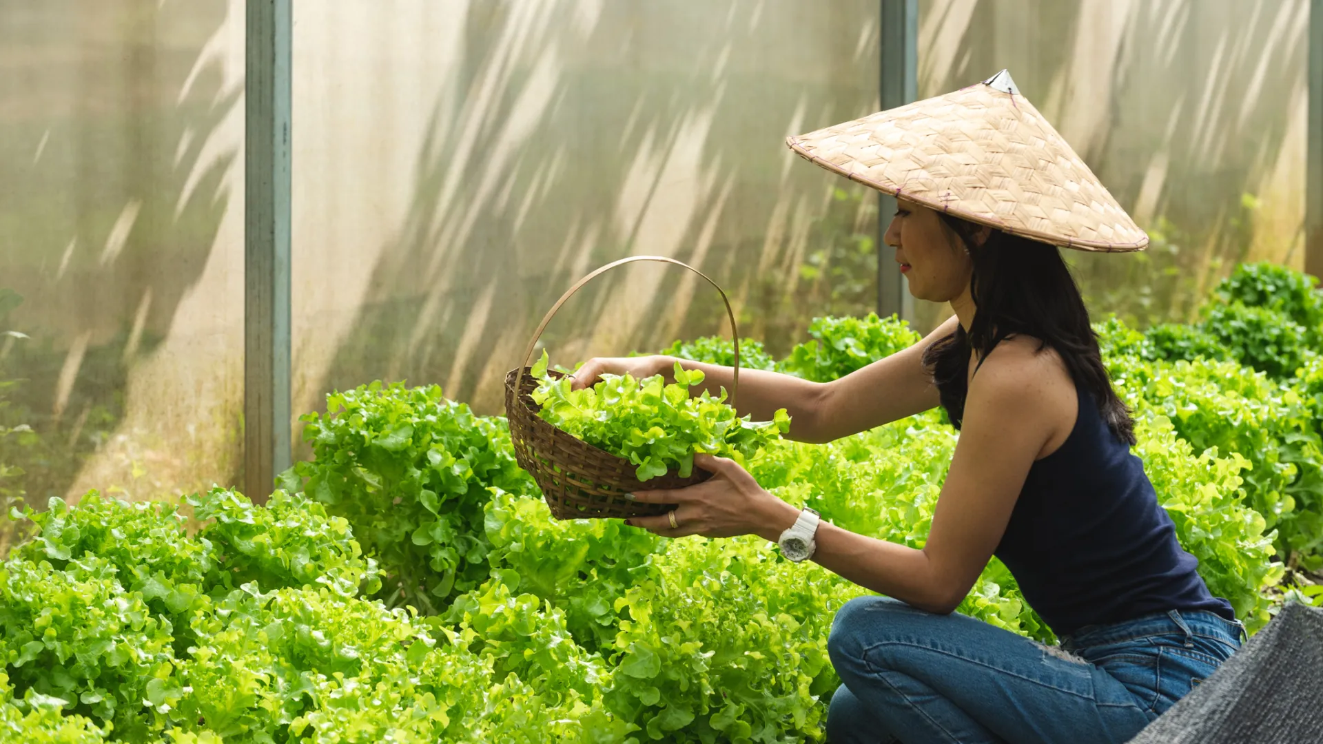 Namkhan EcoLodge Organice Farm