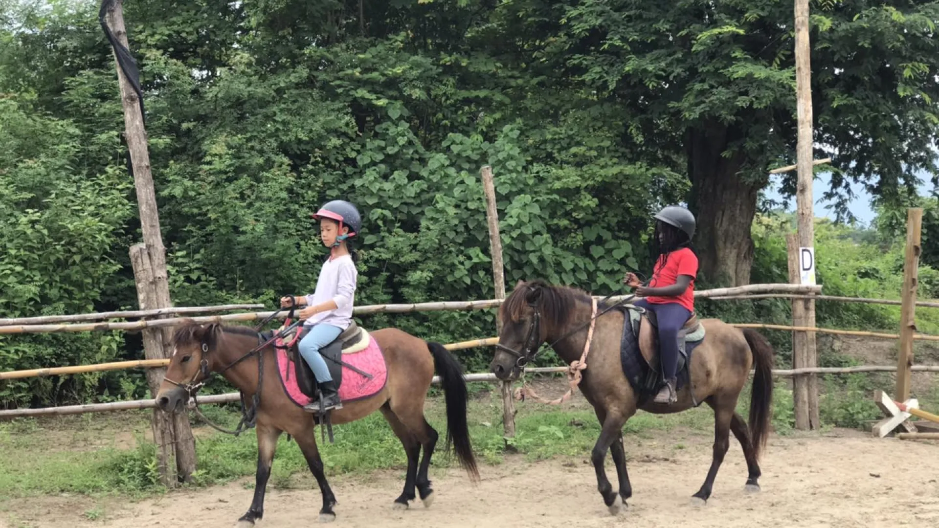 Pony Ride Experience in Luang Prabang