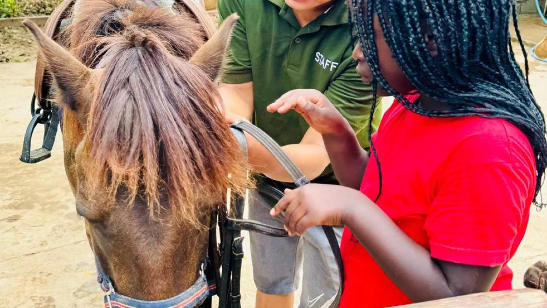 Pony Ride Experience in Luang Prabang