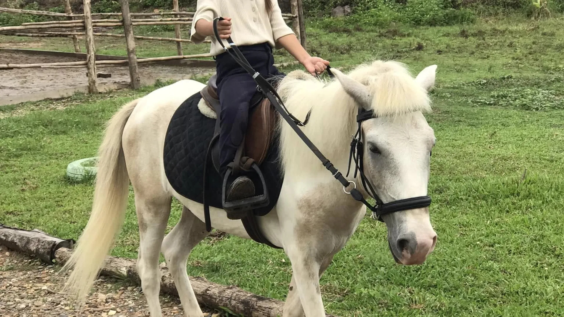 Pony Ride Experience in Luang Prabang