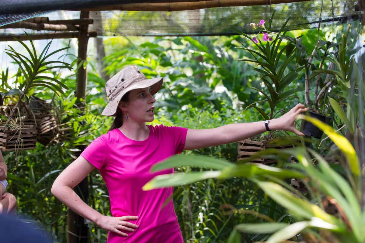 Pha Tad Ke Orchid Talk