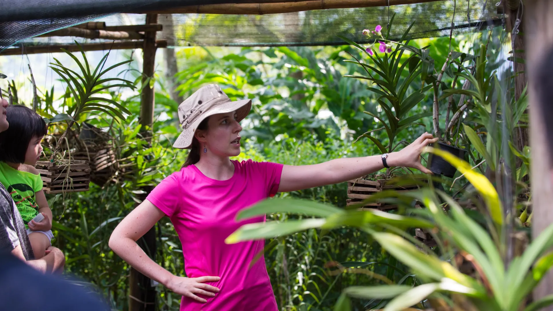 帕塔克兰花谈话