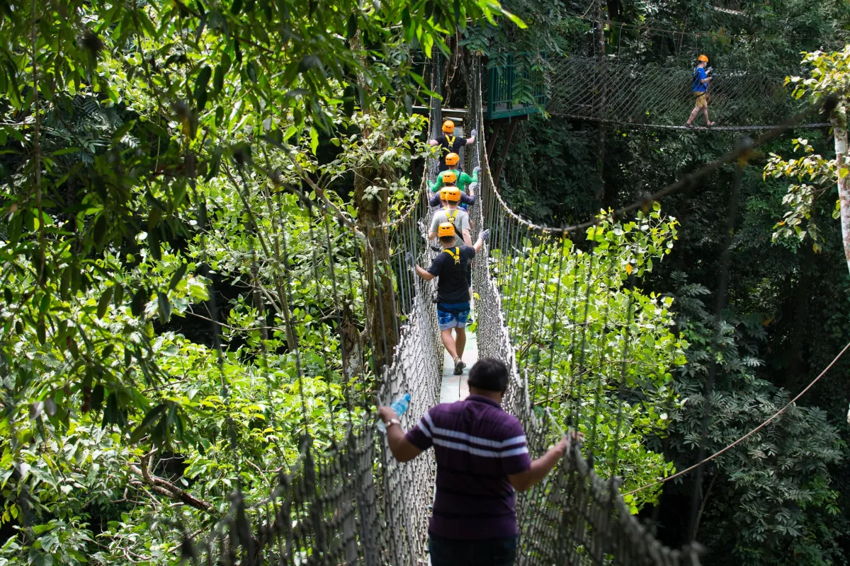 Canopy bridge walk at Nahm Dong