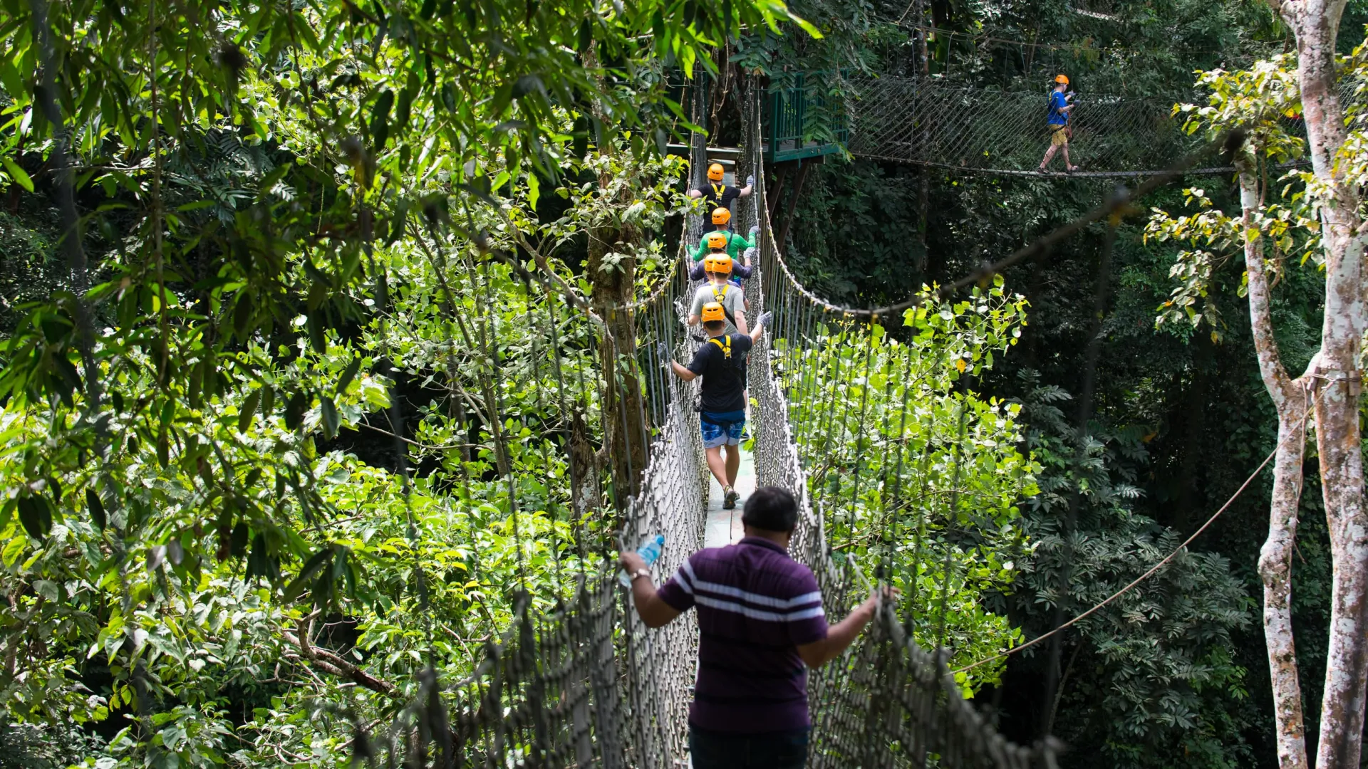 Canopy bridge walk at Nahm Dong