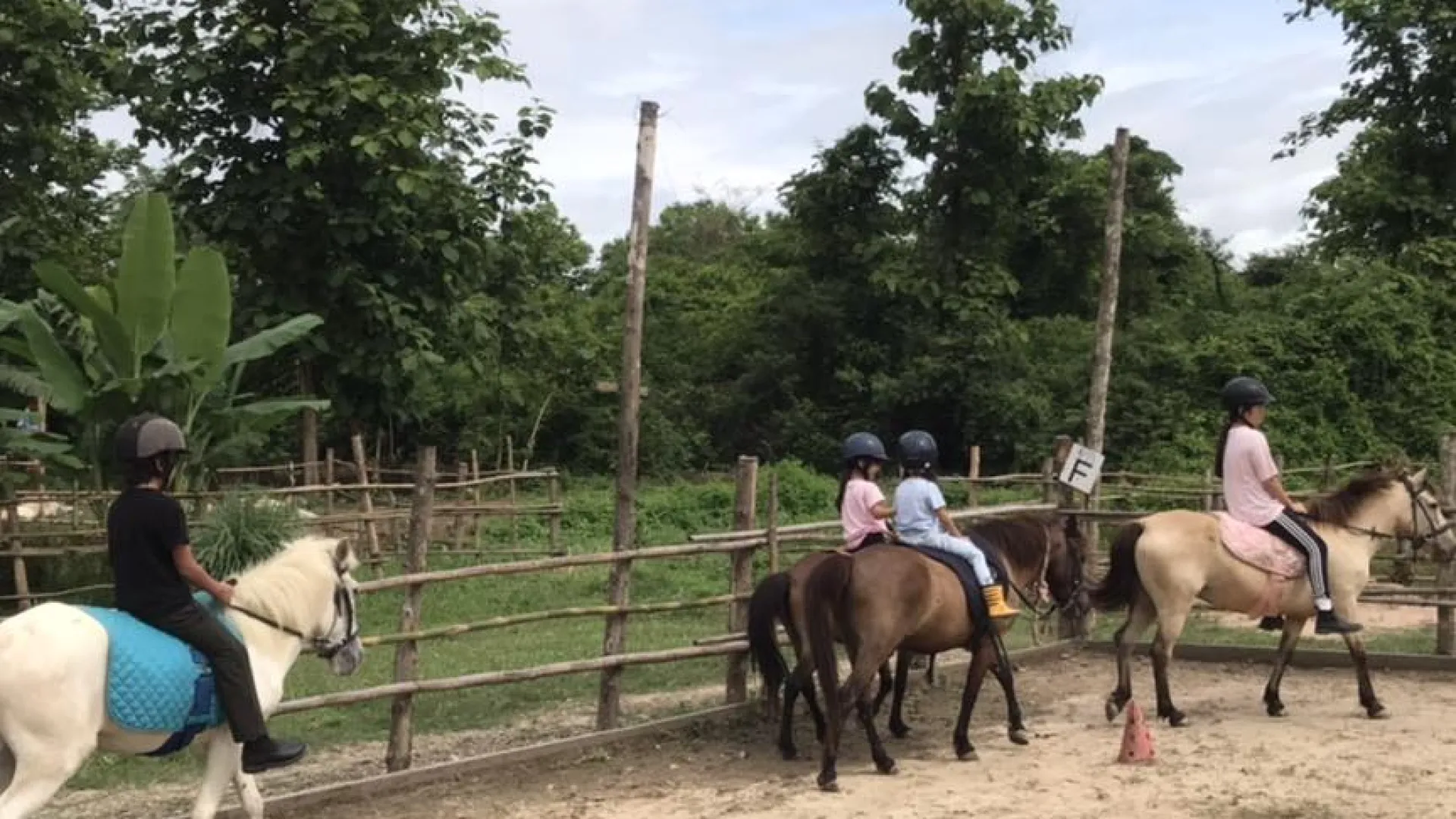 Pony Ride Experience in Luang Prabang