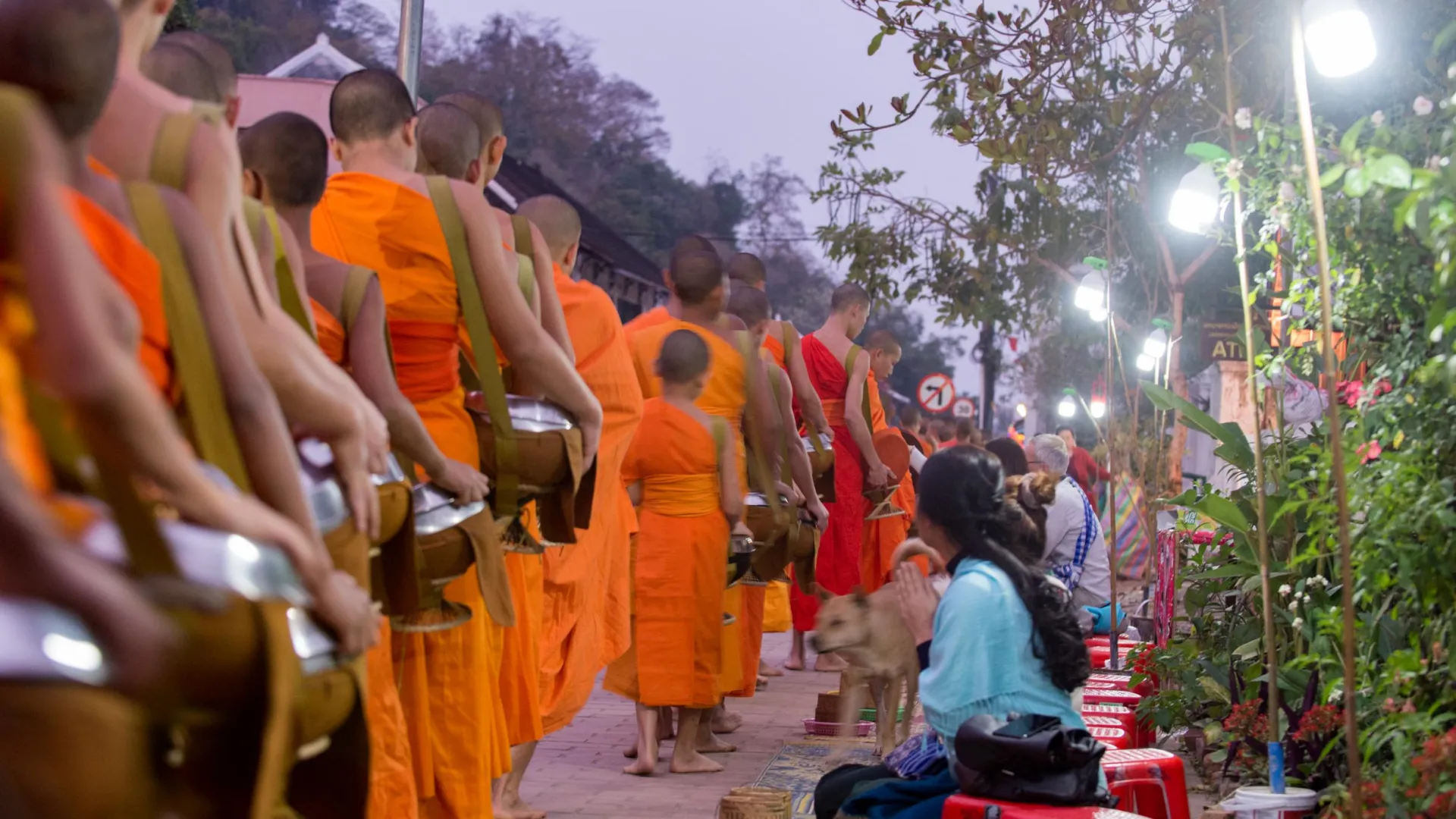 Night Market and Museum