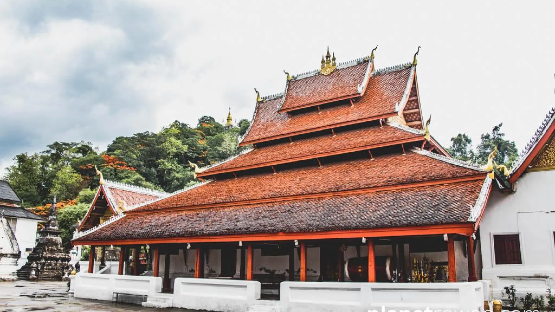 ภาพโดย: Planet RoWoo