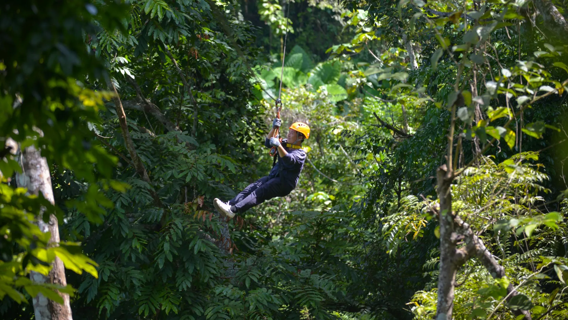 Zip-Line at NahmDongPark