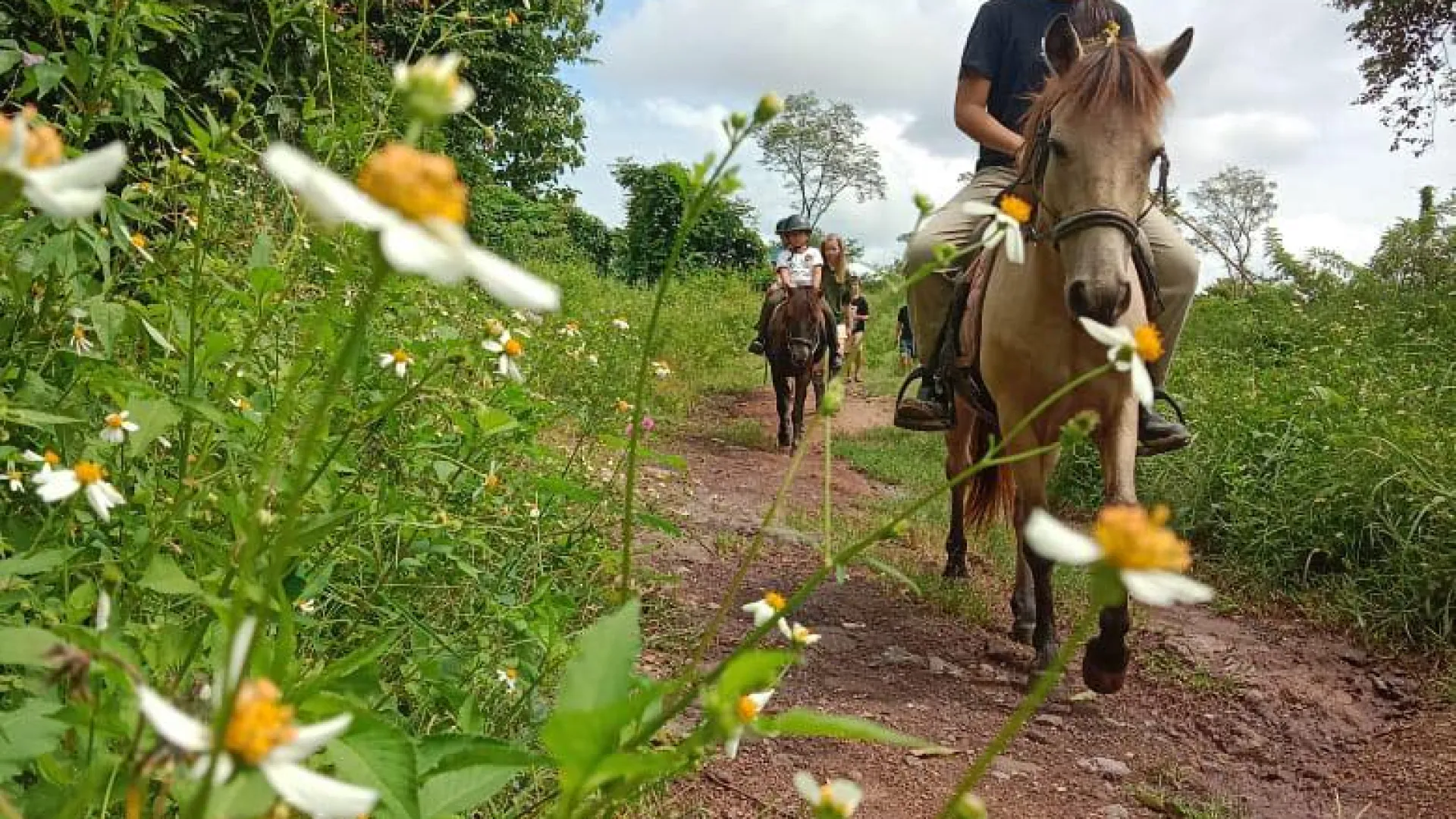 Pony Ride Experience in Luang Prabang