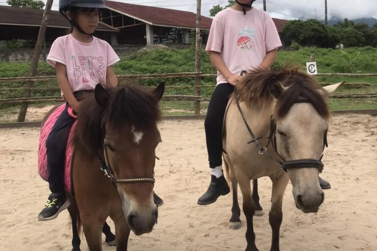 Pony Ride Experience in Luang Prabang