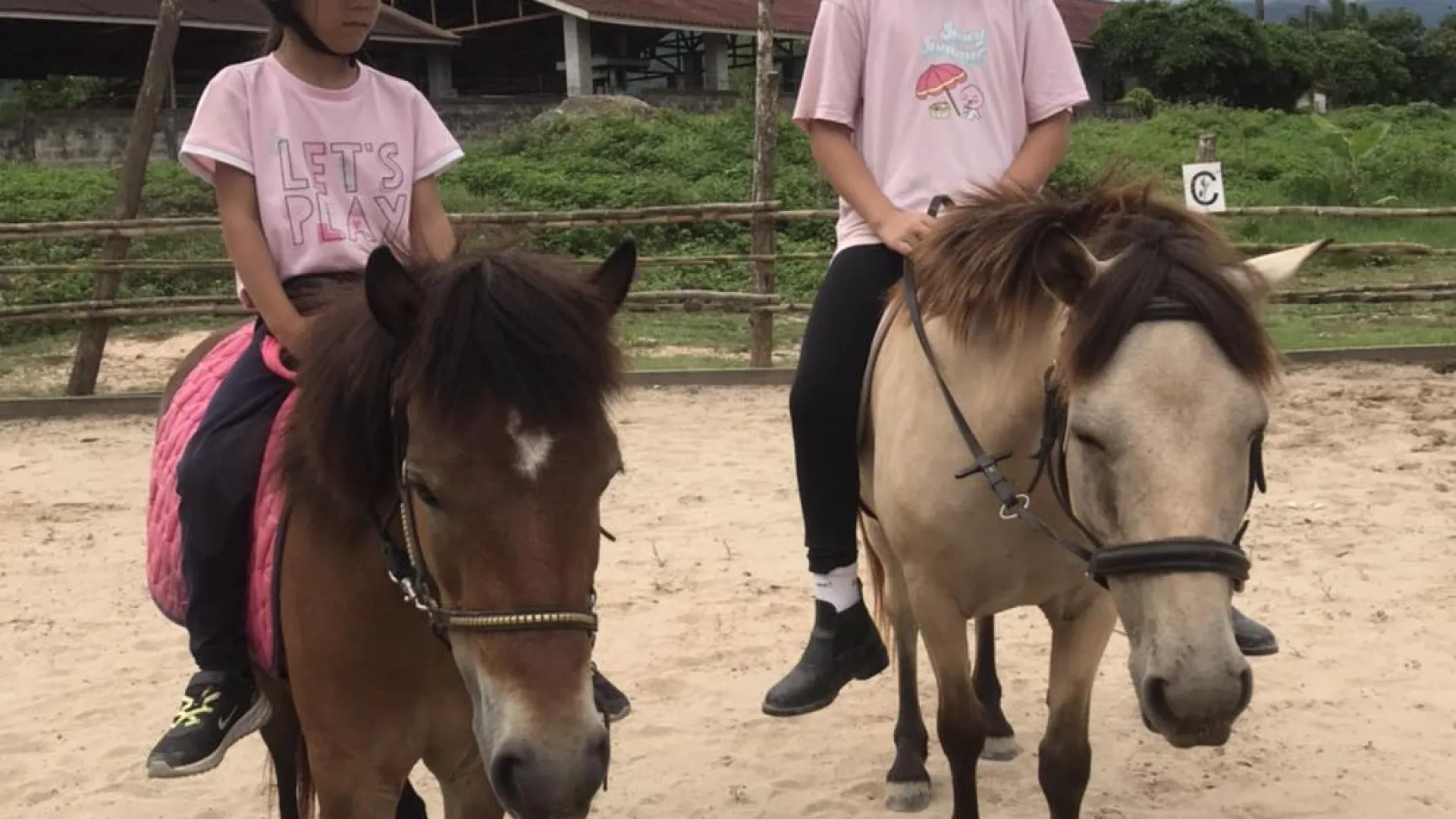 Pony Ride Experience in Luang Prabang