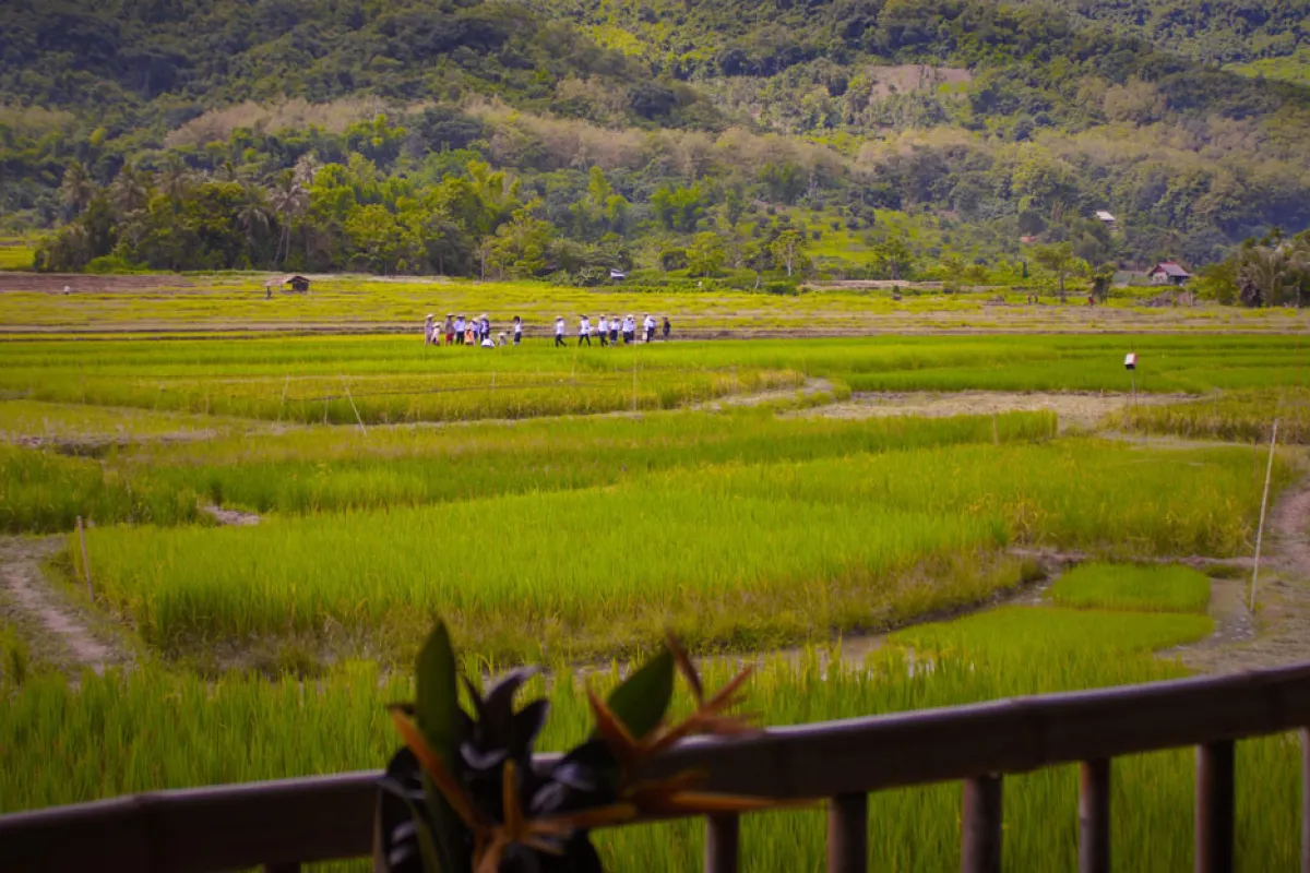 The Living Land Farm - สัมผัสประสบการณ์ทำนา