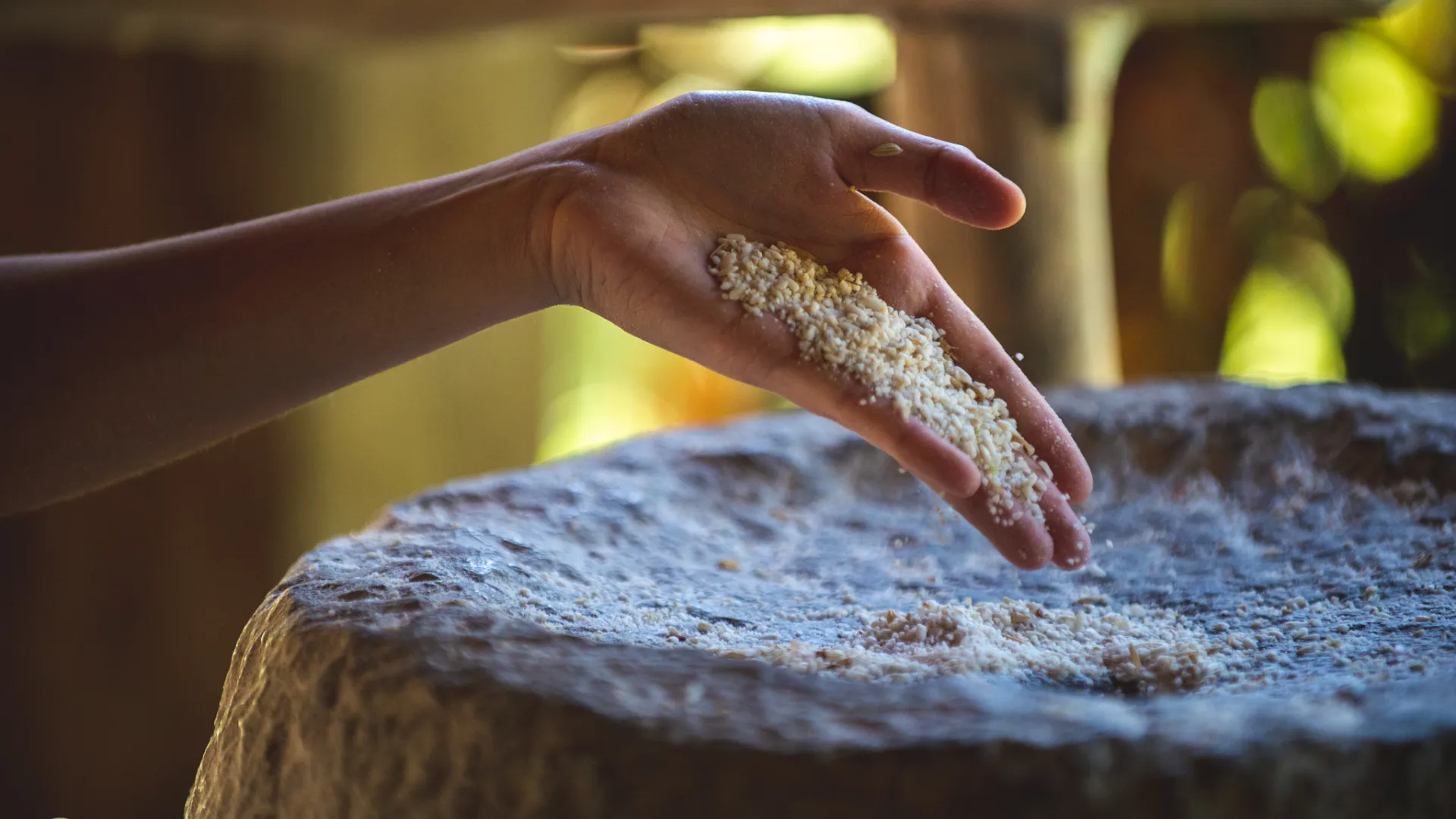 The Living Land Farm -  Rice Farming Experience