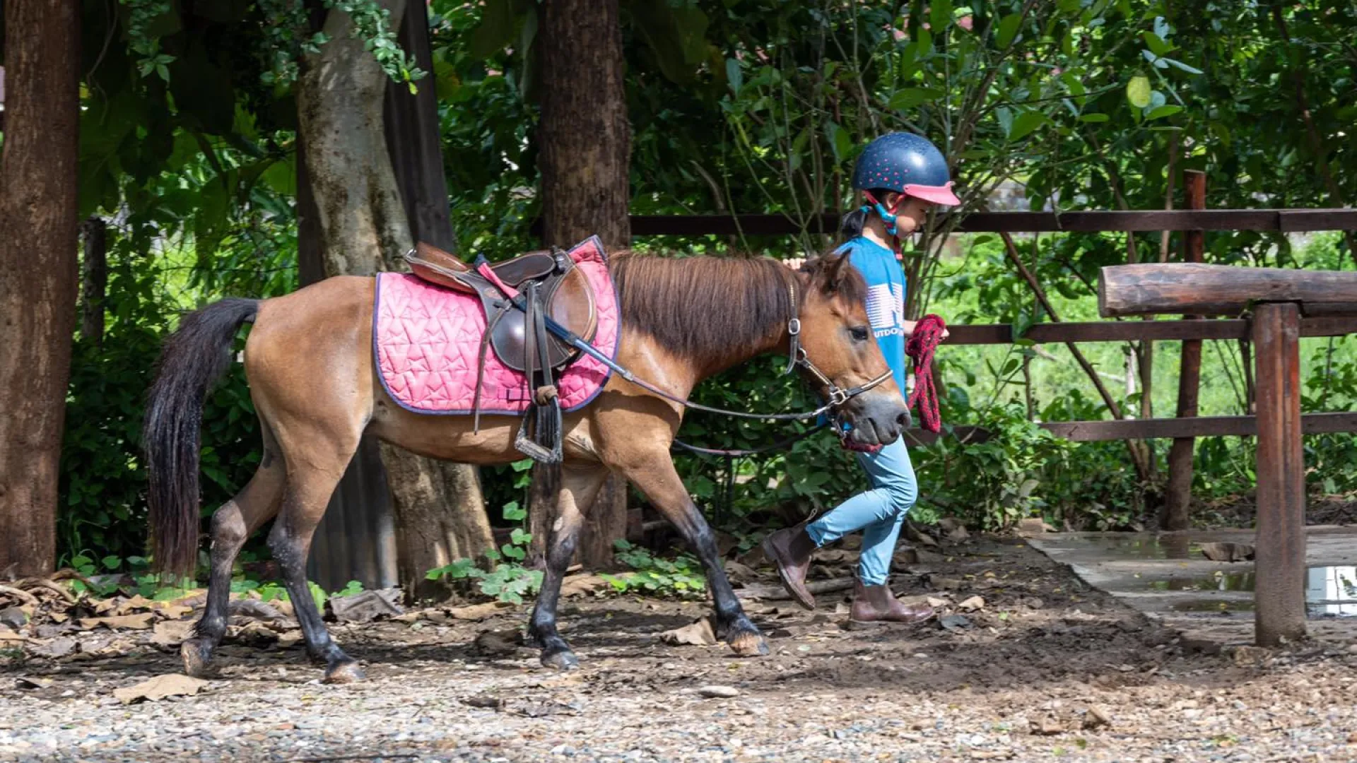 Pony Ride Experience in Luang Prabang