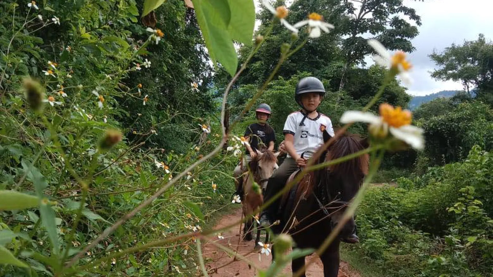 Pony Ride Experience in Luang Prabang