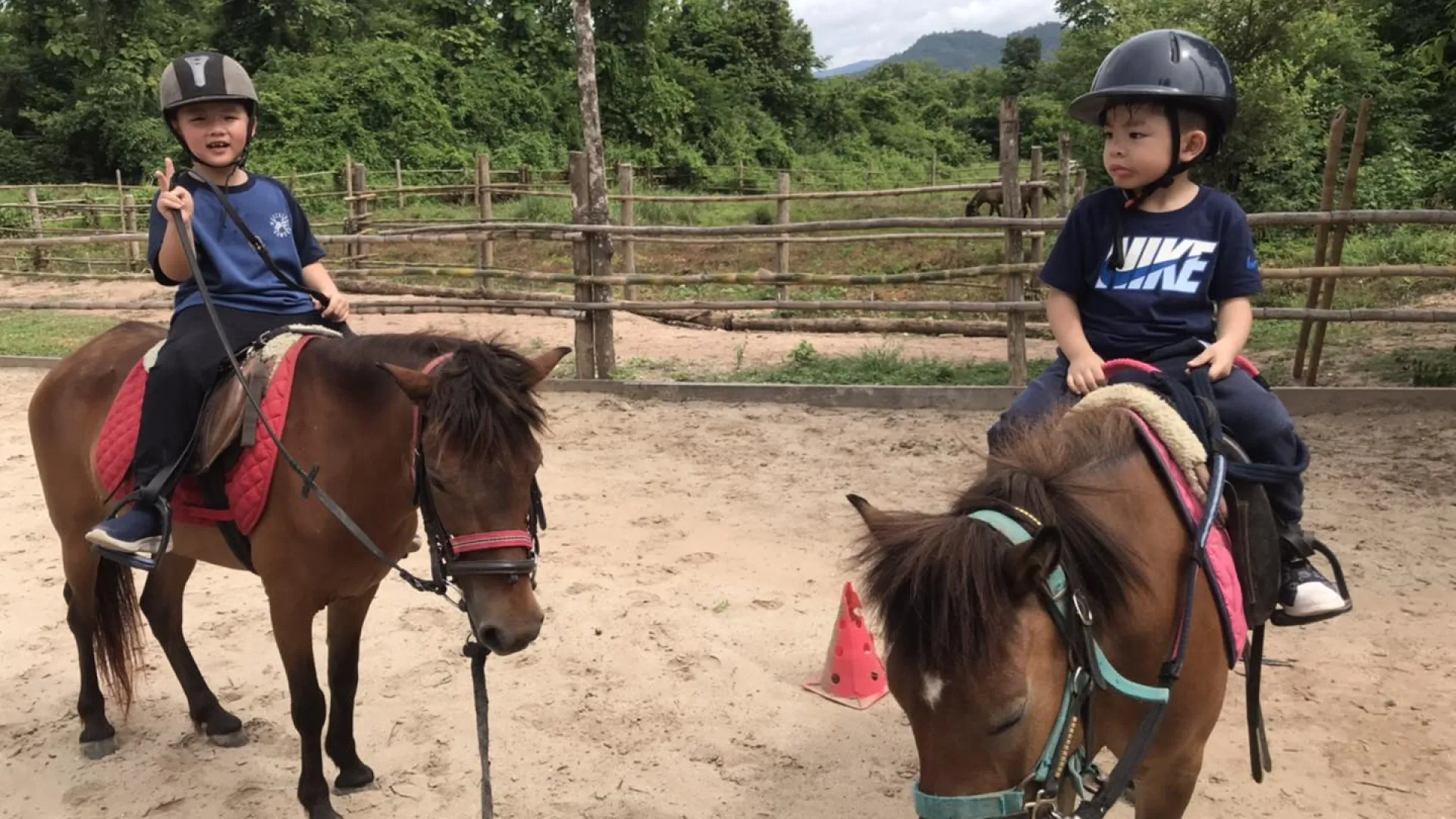 Pony Ride Experience in Luang Prabang
