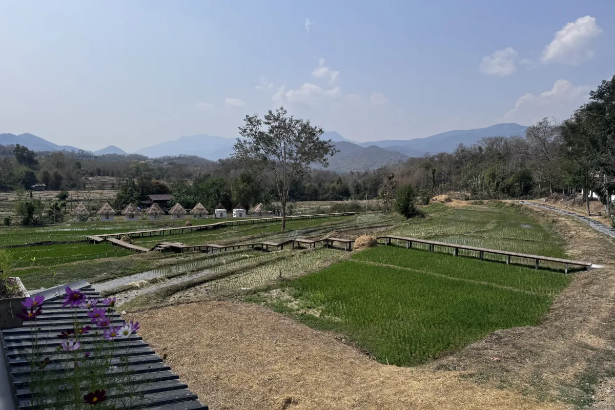 Kuang Si Kitchen, Luang Prabang