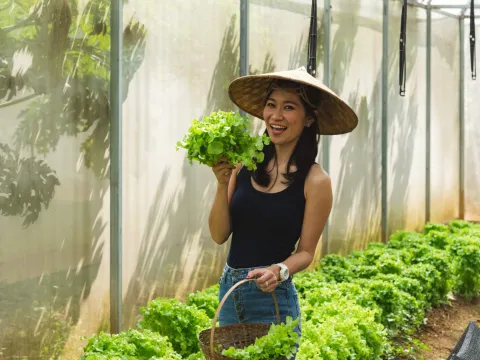 南康生态小屋有机农场之旅