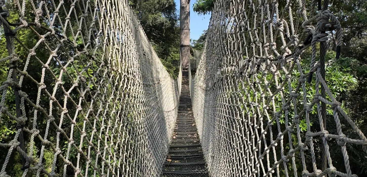 La Forêt Canopy Walkways