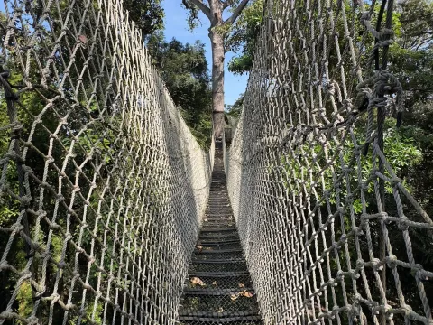 La Forêt Canopy Walkways