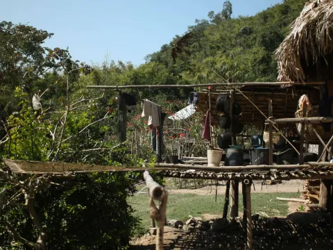 阿卡族民宿体验