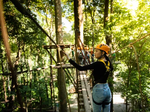 组合项目：绳索课程和在营地骑大象