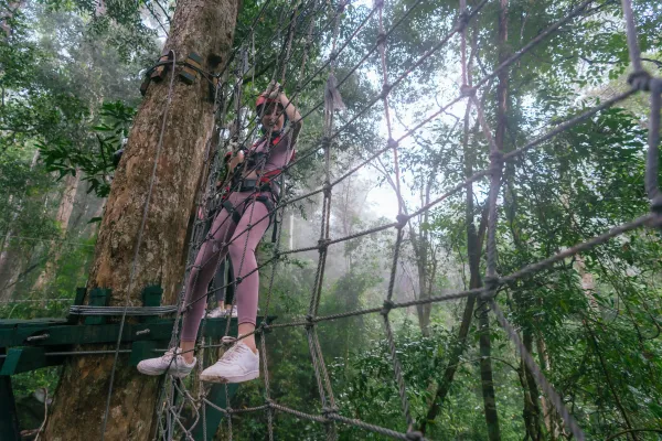 D套餐 | 水上乐园 > 滑索 > 树顶